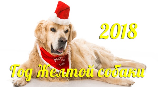 Самые красивые открытки с Новым 2018 годом Собаки