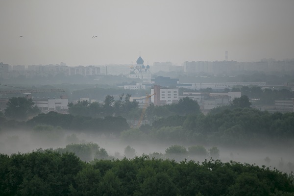 Погода в Москве и Московской области в августе 2018 года — самый точный прогноз синоптиков Гидрометцентра