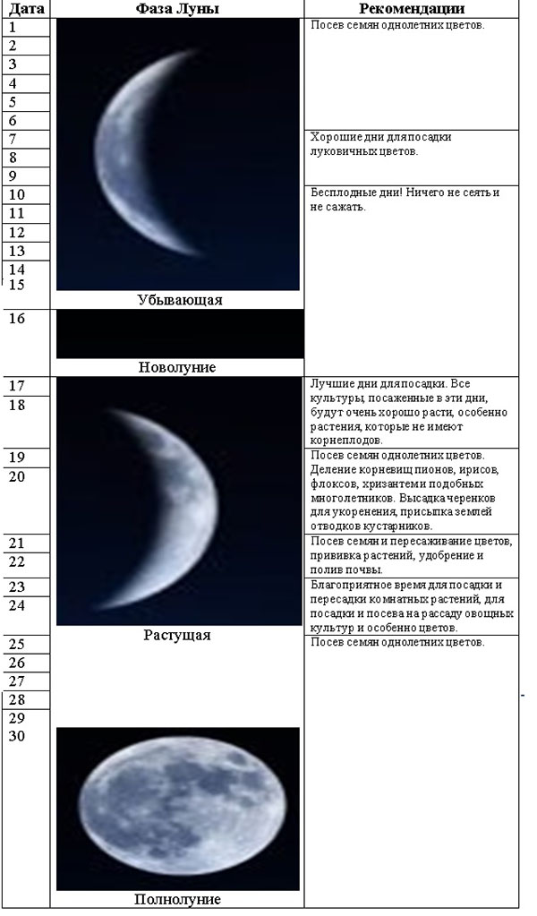 Посевной лунный календарь на апрель 2018 огородника и цветовода, таблица