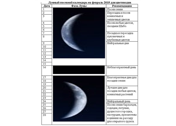Посевной лунный календарь на февраль 2018 для цветоводов и огородников, таблица
