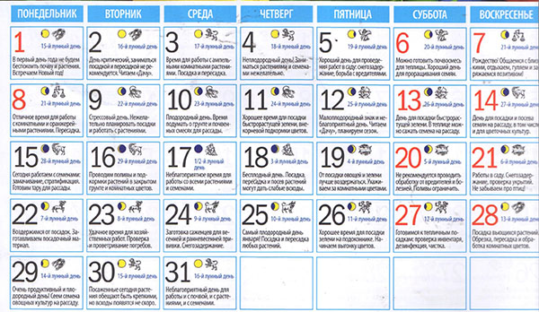 Лунный посевной календарь на январь 2018 года – для огородников и цветоводов Средней полосы России, таблицы, видео