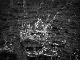 Сонник вода, к чему снится вода во сне Сонник вода, к чему снится вода во сне